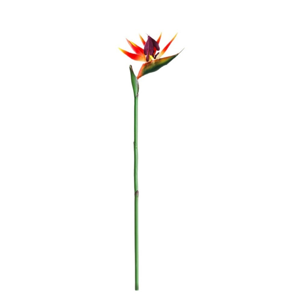 Fiori artificiali di Strelitzi - Bird Paradise Strelitzia recensione e prezzo