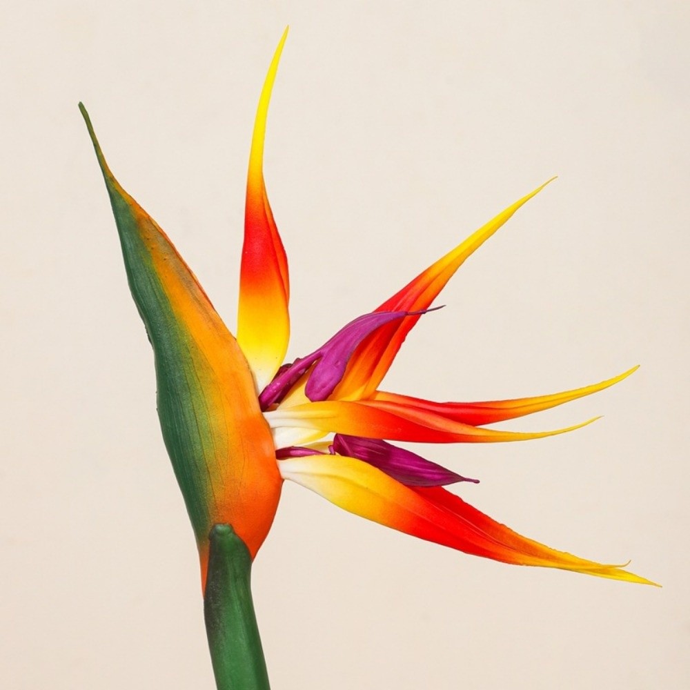 Fiori artificiali di Strelitzi - Bird Paradise Strelitzia recensione e prezzo