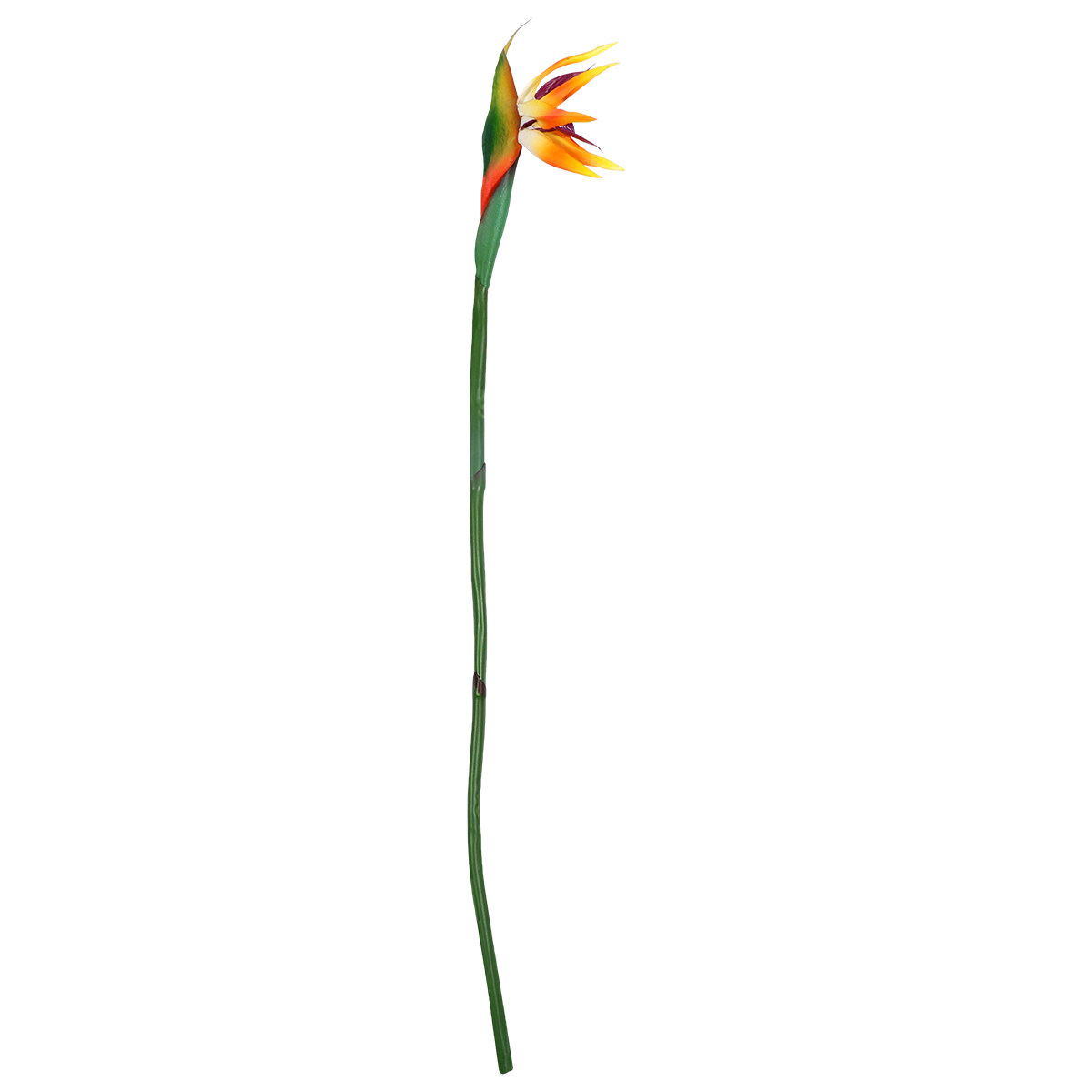 Fiore artificiale di Strelitzi - Bird Paradise Strelitzia recensione e prezzo