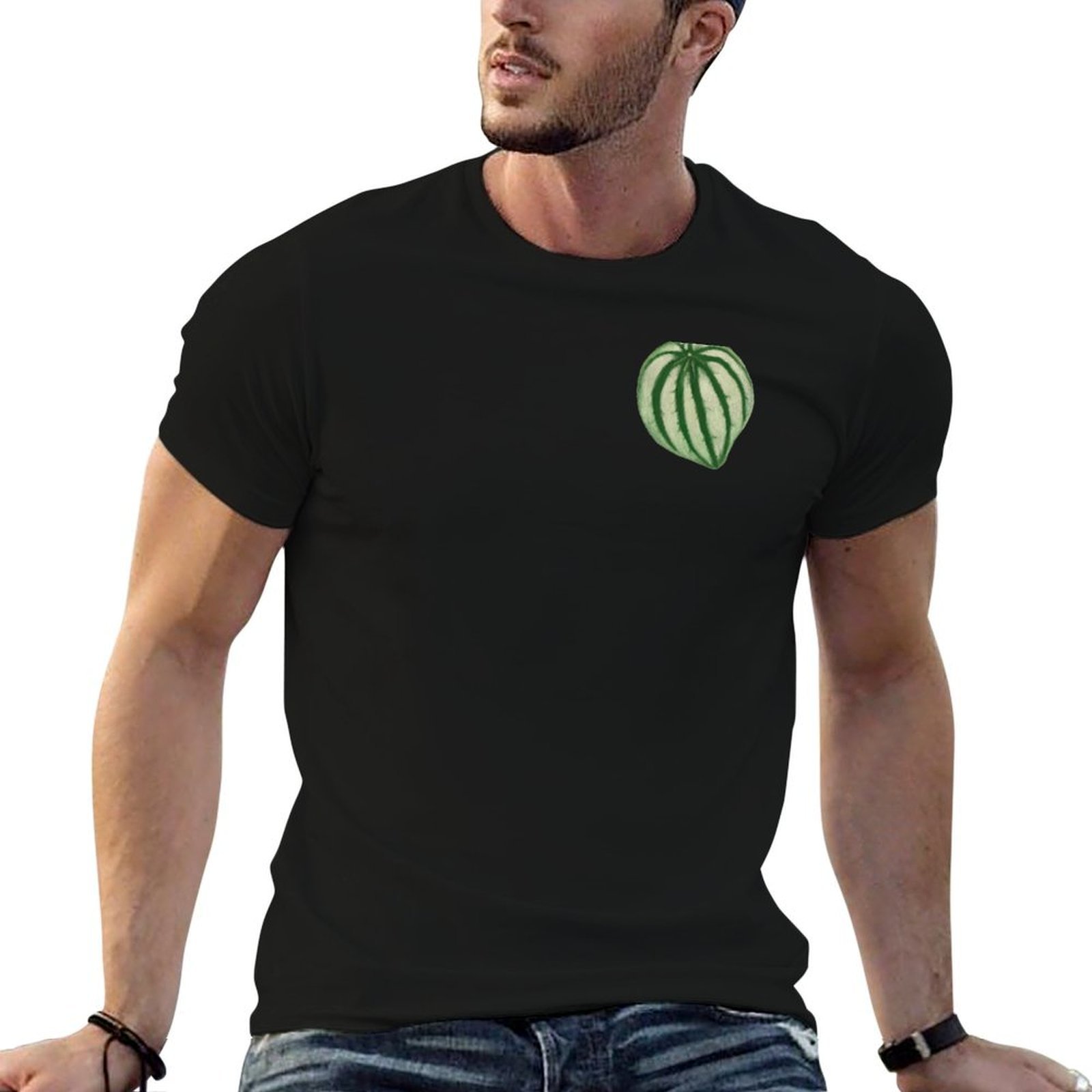 T-shirt con stampa di anguria  - Peperomia Watermelon recensione e prezzo
